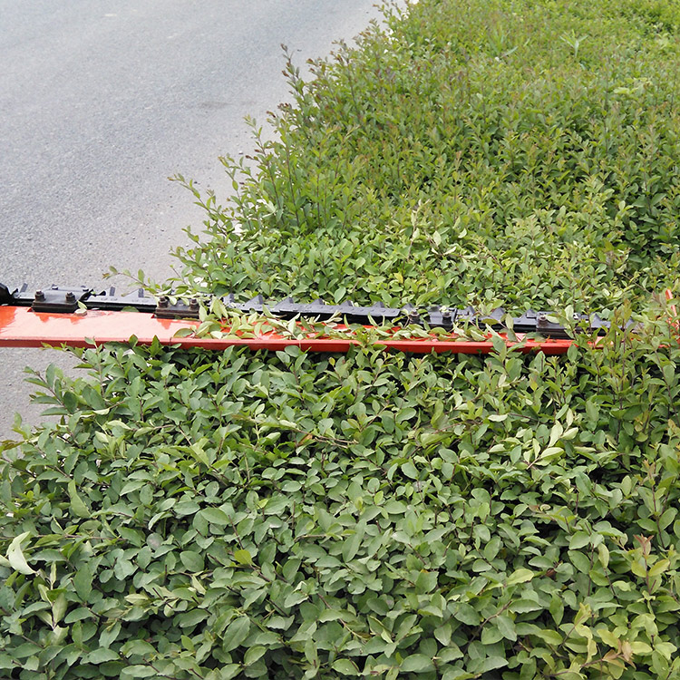 Skid Steer Hedge Trimmer Attachment 60'' RAY SKID STEER